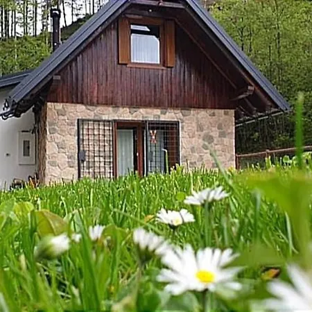 La Luna Delle Montagne Charme & Spa Chalet-3